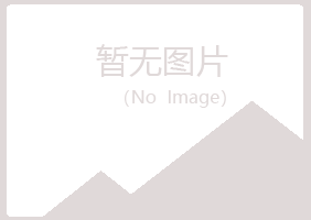 上海夏岚能源有限公司